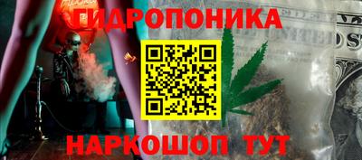 шишки Гусь-Хрустальный