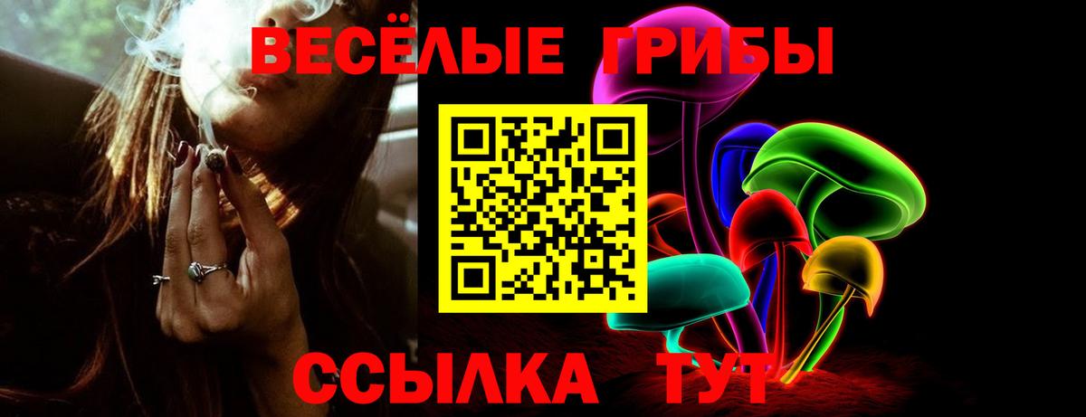 Псилоцибиновые грибы мухоморы Мариинск